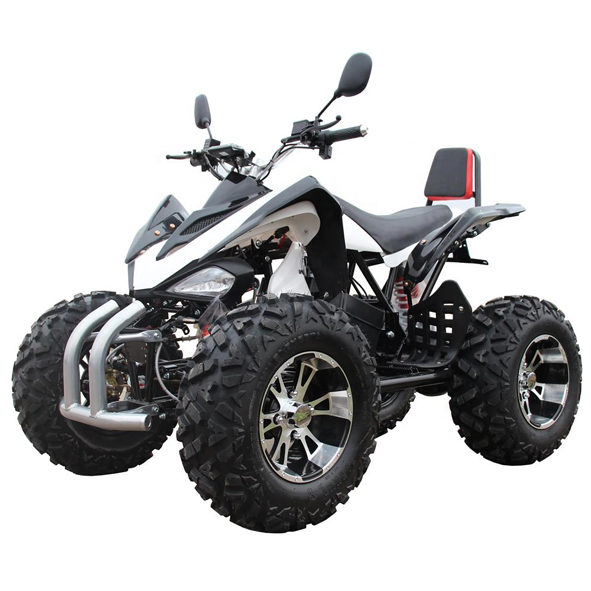 Lille elektrisk ATV